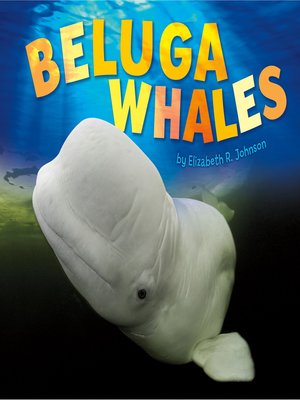 cover image of Beluga Whales